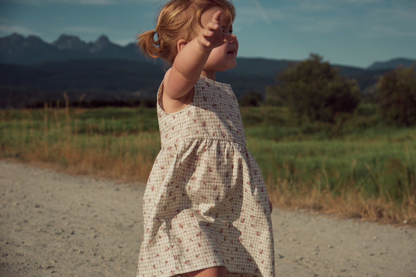 Rowan Dress — Floral Gingham