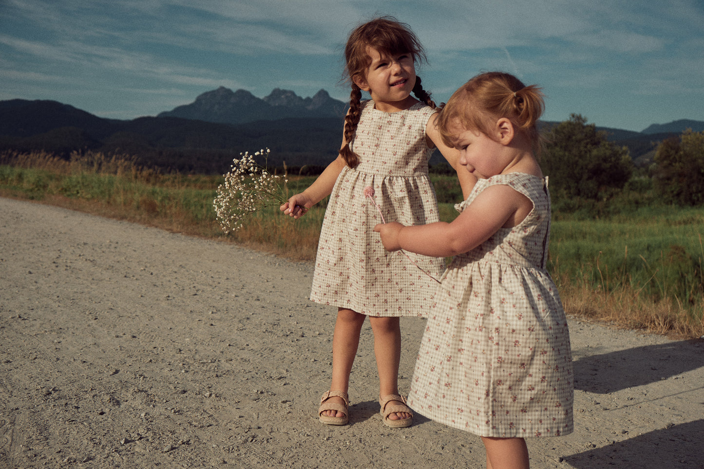 Rowan Dress — Floral Gingham