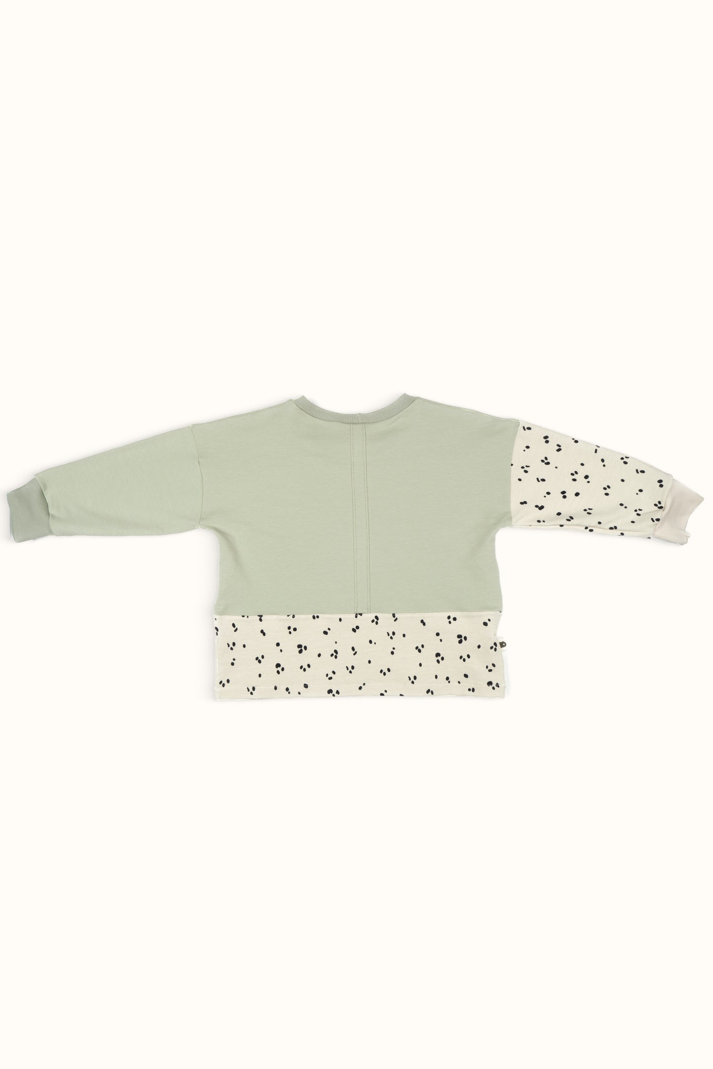 Frankie Sweatshirt — Mint*Dot